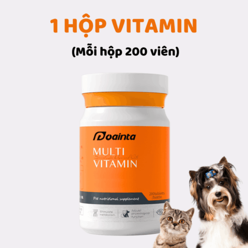 1 hộp