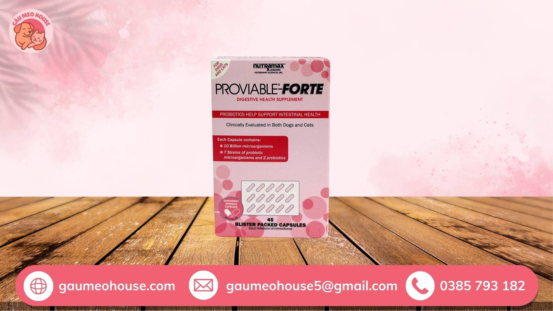Men tiêu hóa cho chó con Proviable-Forte