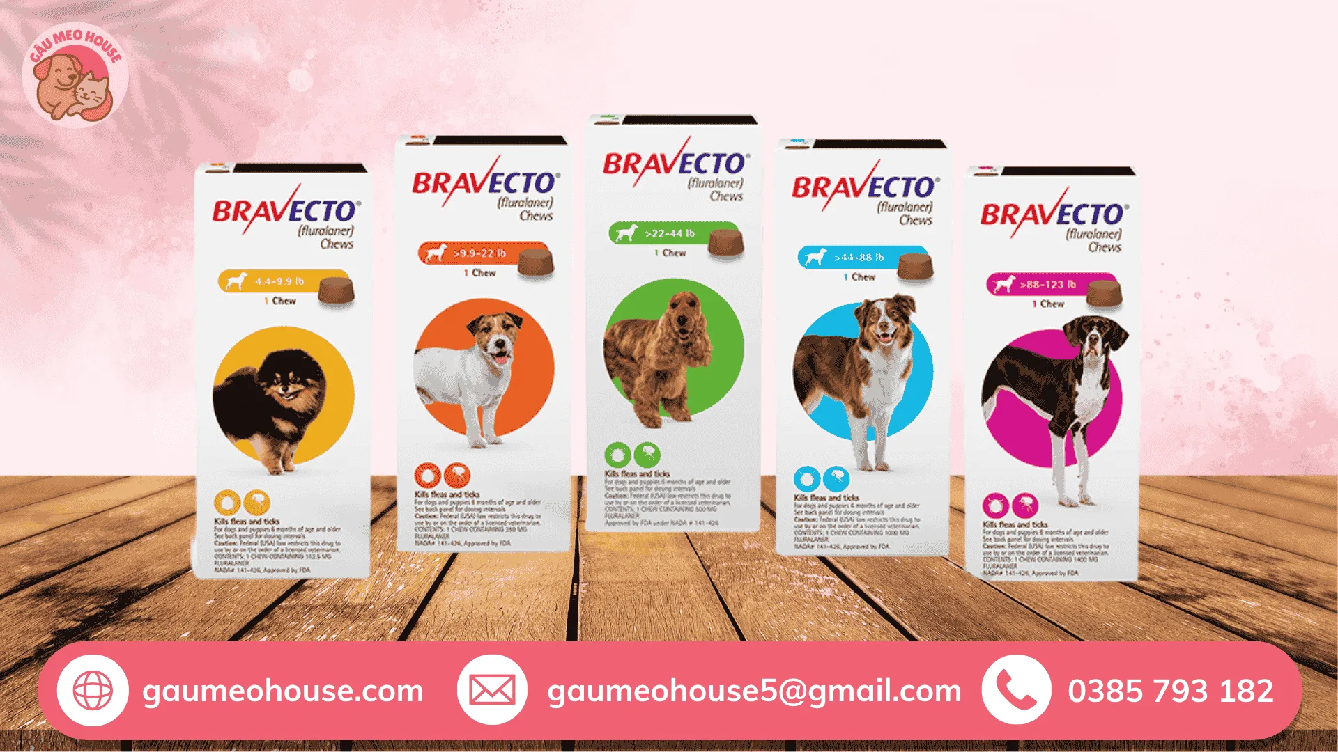 Bravecto – Thuốc trị ve chó tận gốc