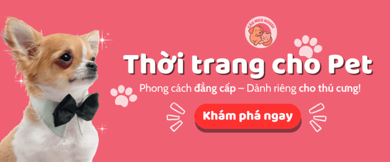 cửa hàng