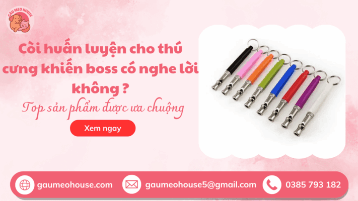 Coi-huan-luyen-cho-thu-cung