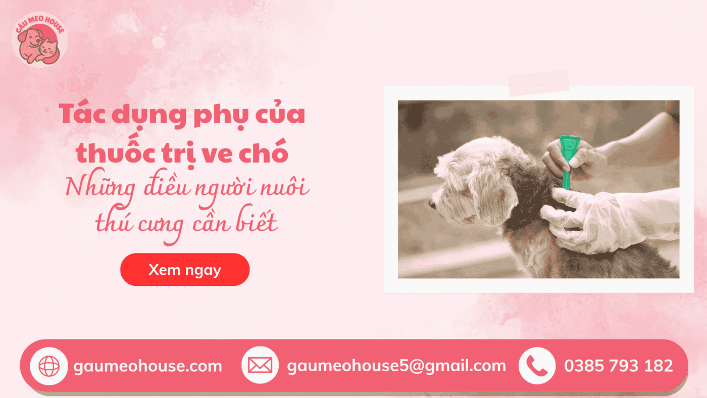 Bìa tác dụng phụ của thuốc trị ve chó