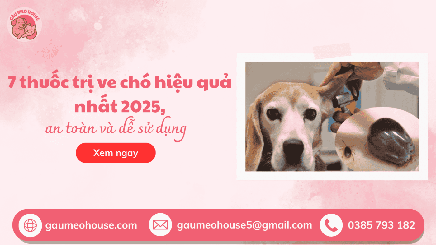 Bìa thuốc trị ve chó hiệu quả nhất