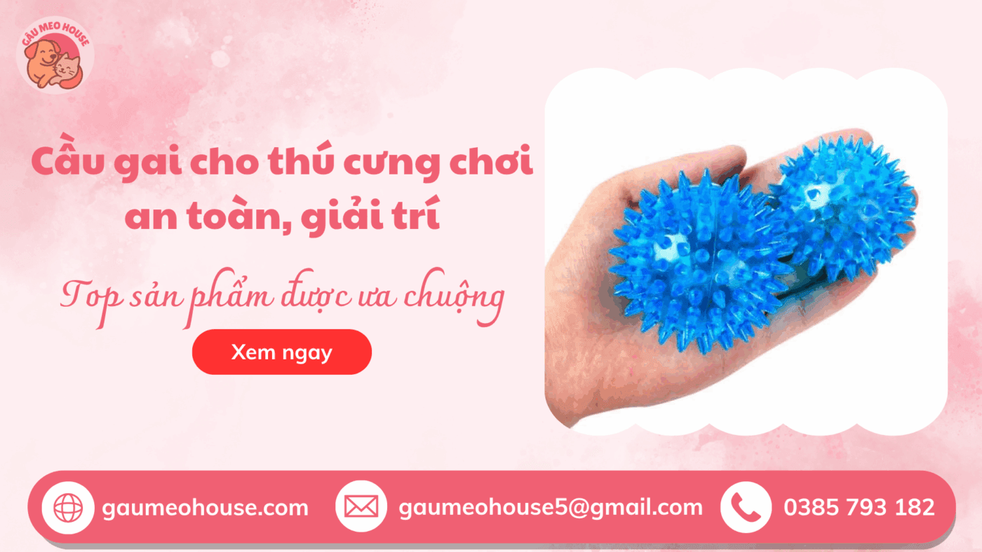 Cau-gai-cho-thu-cung