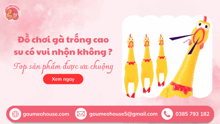 Do-choi-ga-trong-cao-su