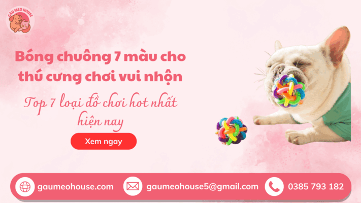 Bong-chuong-7-mau-cho-thu-cưng
