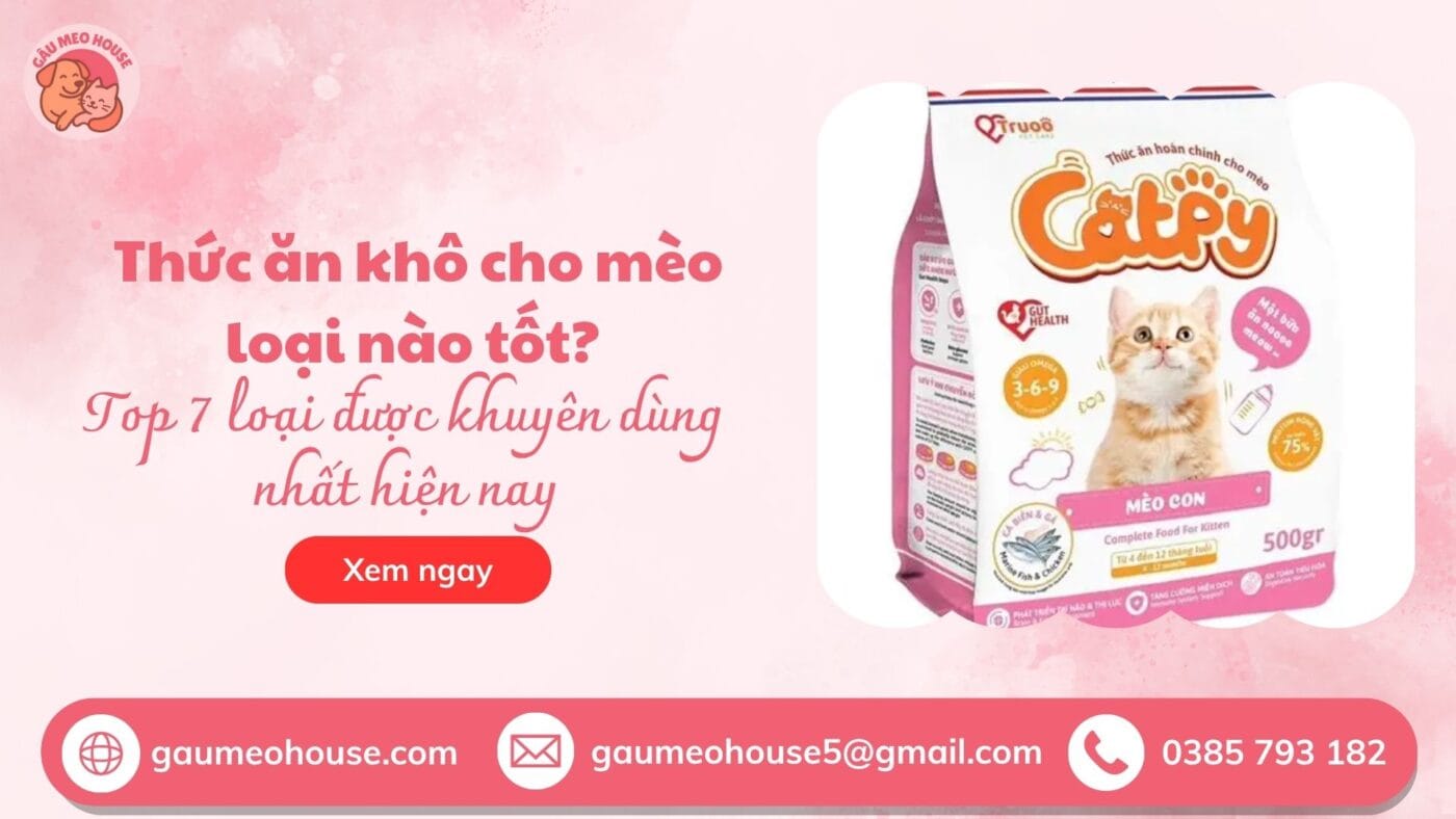 Thức ăn khô cho mèo loại nào tốt nhất - bìa