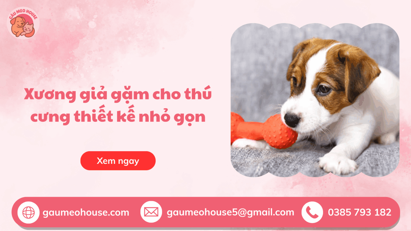 Xuonhg-gia-gam-cho-thu-cung