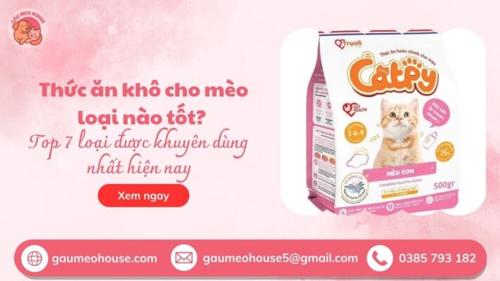 Thức ăn khô cho mèo loại nào tốt nhất - bìa