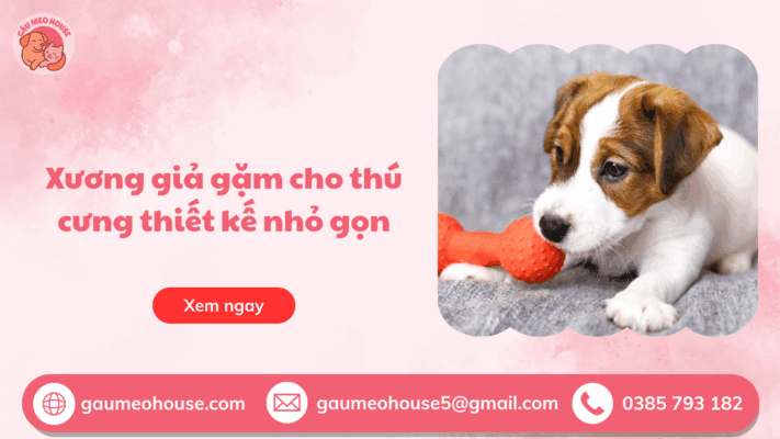 Xuonhg-gia-gam-cho-thu-cung