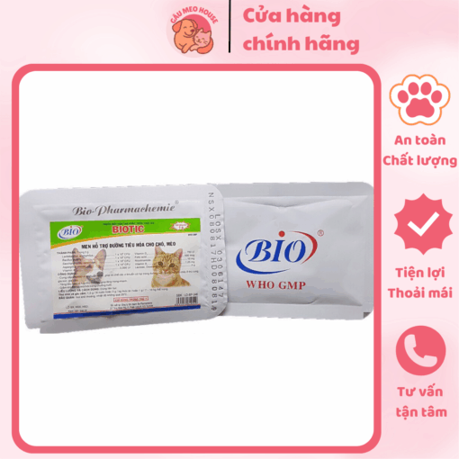 cải tiến (1)