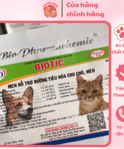 cải tiến (2)