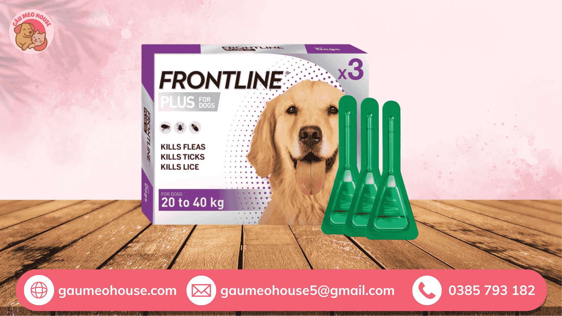 Frontline - Thuốc trị ve chó hiệu quả nhất