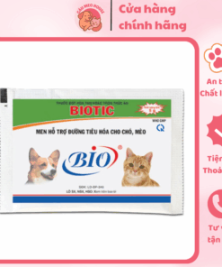 nền (1)