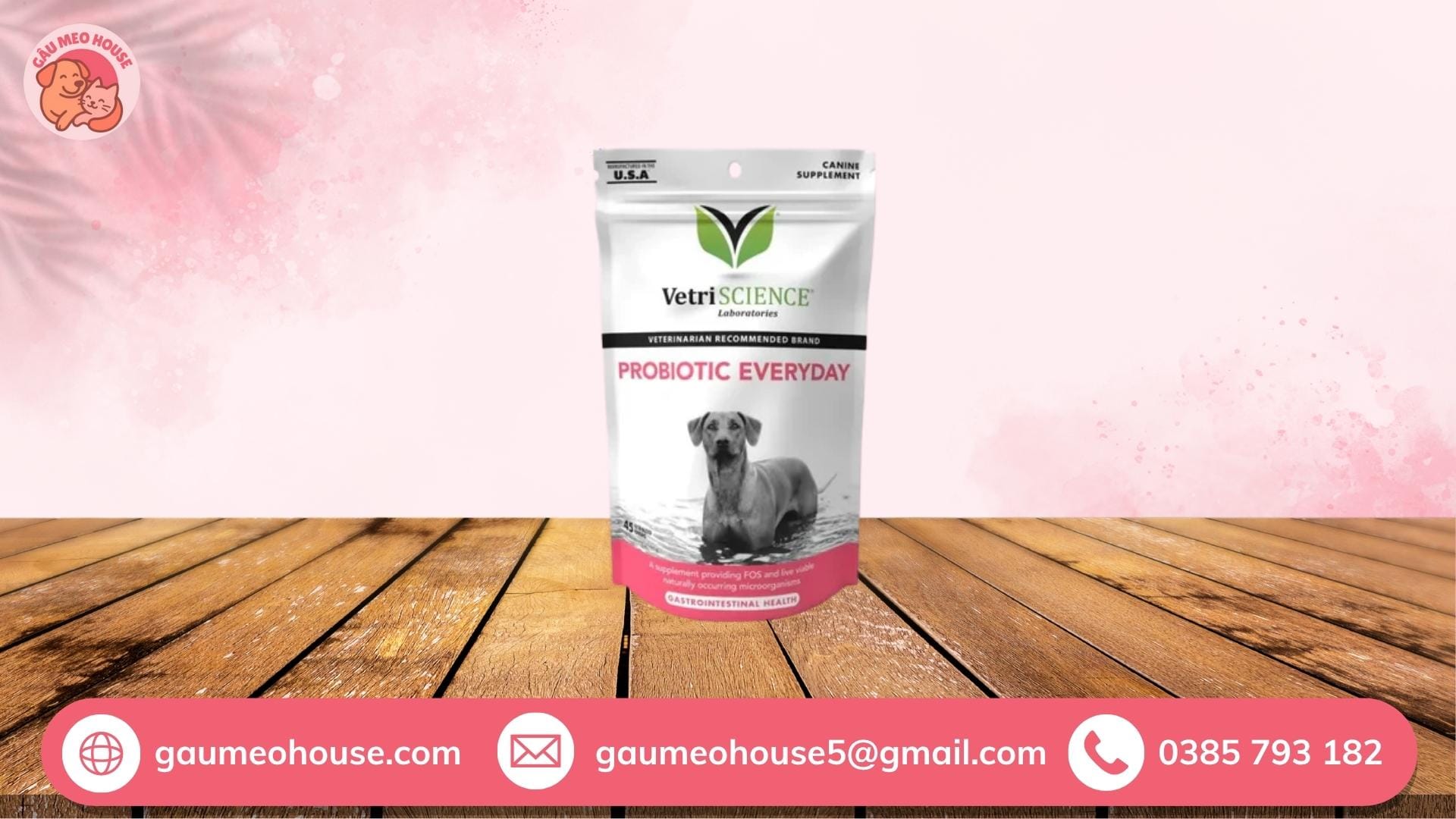 Men tiêu hóa cho chó con VetriScience Probiotic
