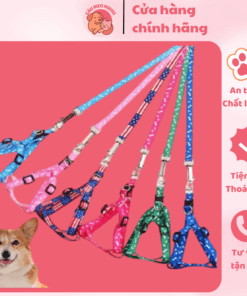 Vòng Cổ Cho Thú Cưng
