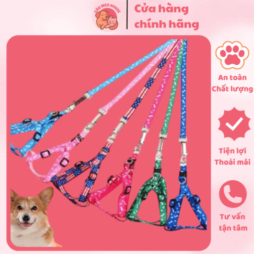 vong-co-cho-thu-cung