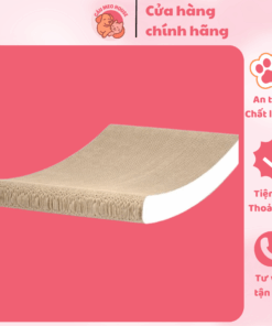 Bàn Cào Mèo Đa Năng