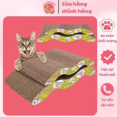 Bàn Cào Mèo Đa Năng