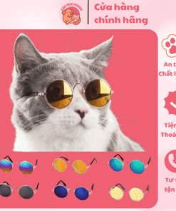 Kính Bảo Vệ Mắt Cho Thú Cưng