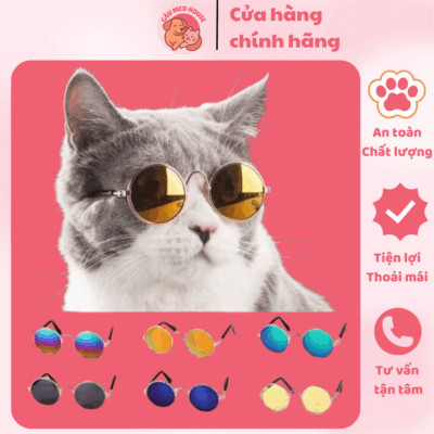Kính Bảo Vệ Mắt Cho Thú Cưng