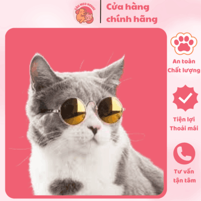 Kính Vệ Bảo Mắt Cho Thú Cưng