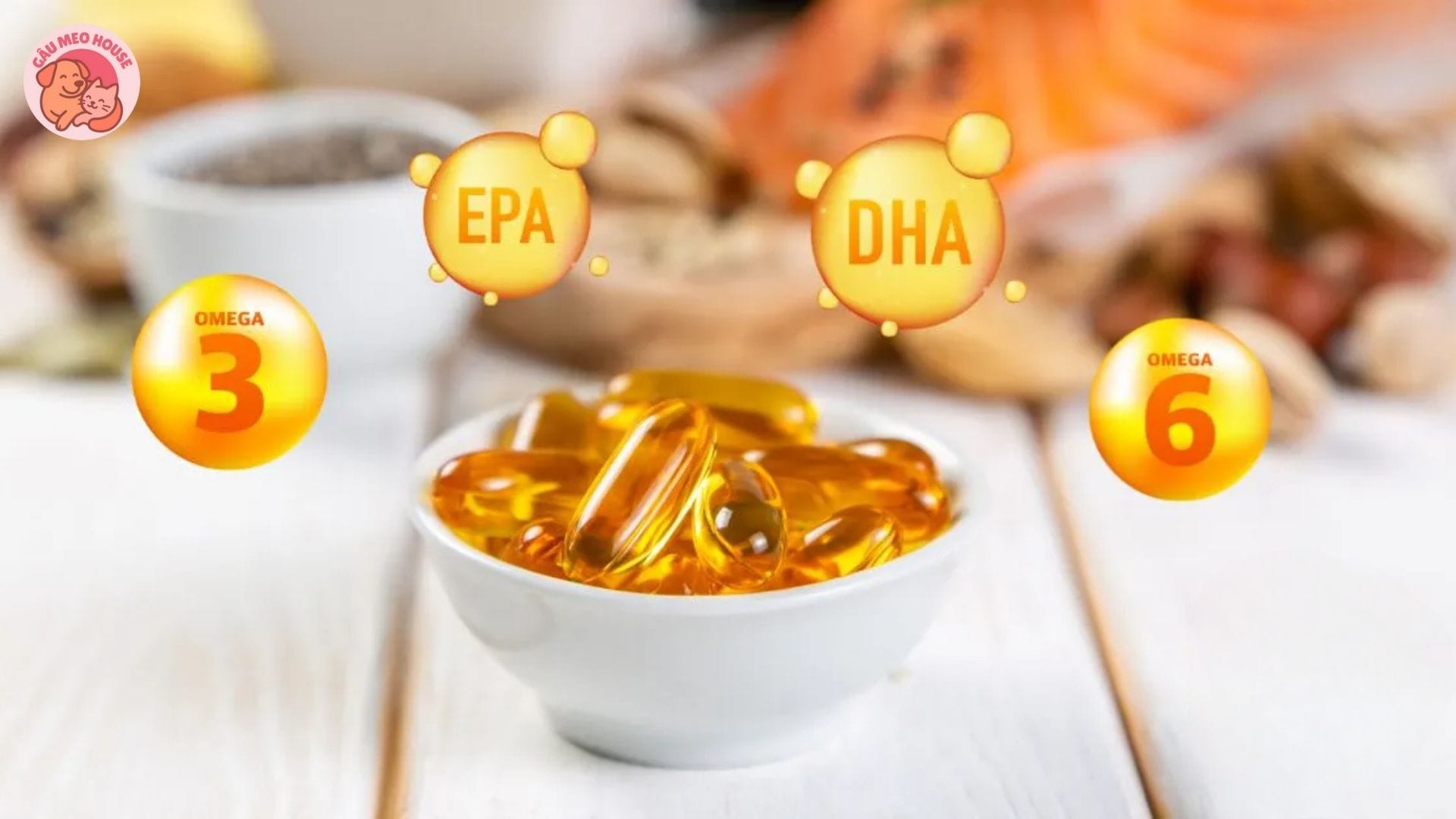 Dầu cá cho chó là gì?