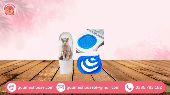 3 dụng cụ huấn luyện mèo đi toilet