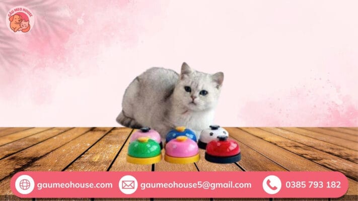 Chuong-bam-huan-luyen-cho-meo