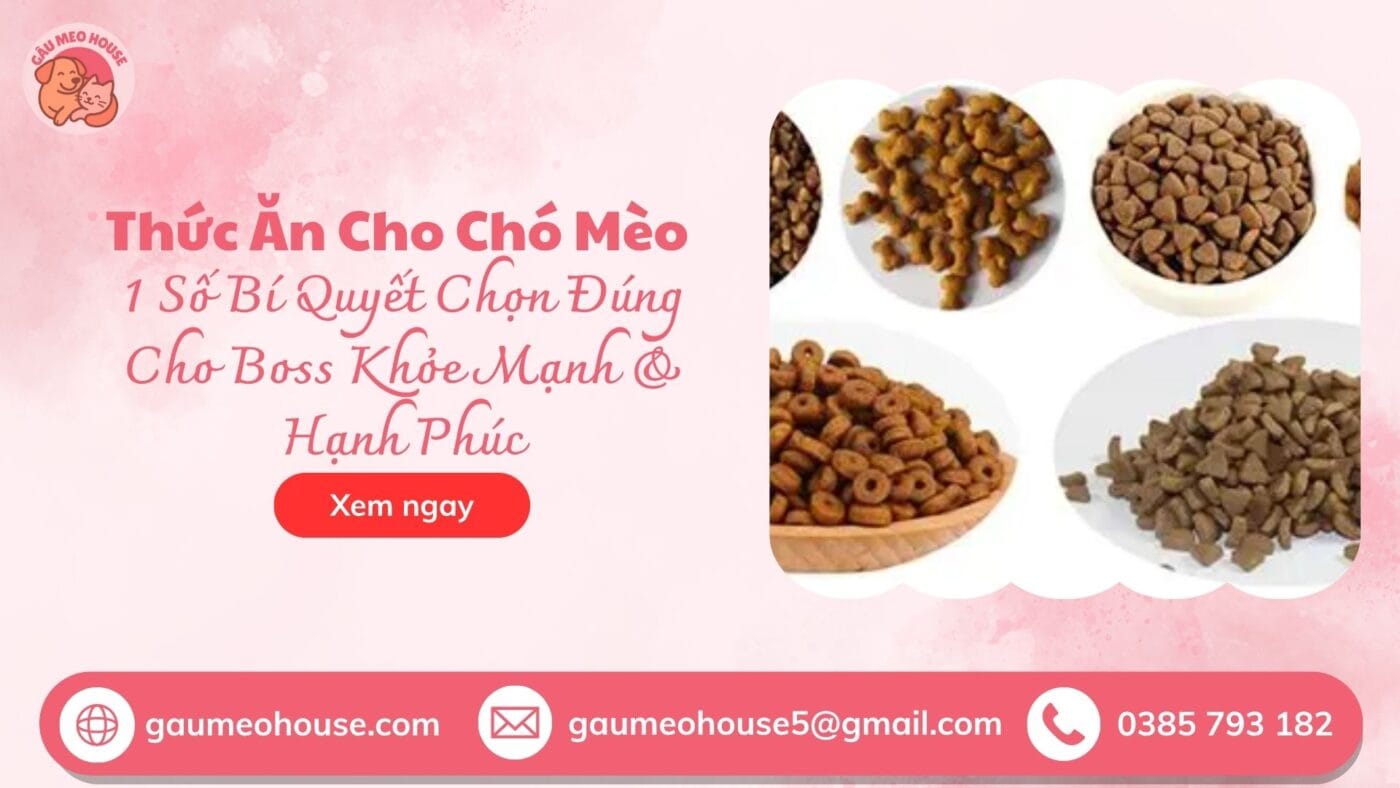 thuc-an-cho-meo-pet-2