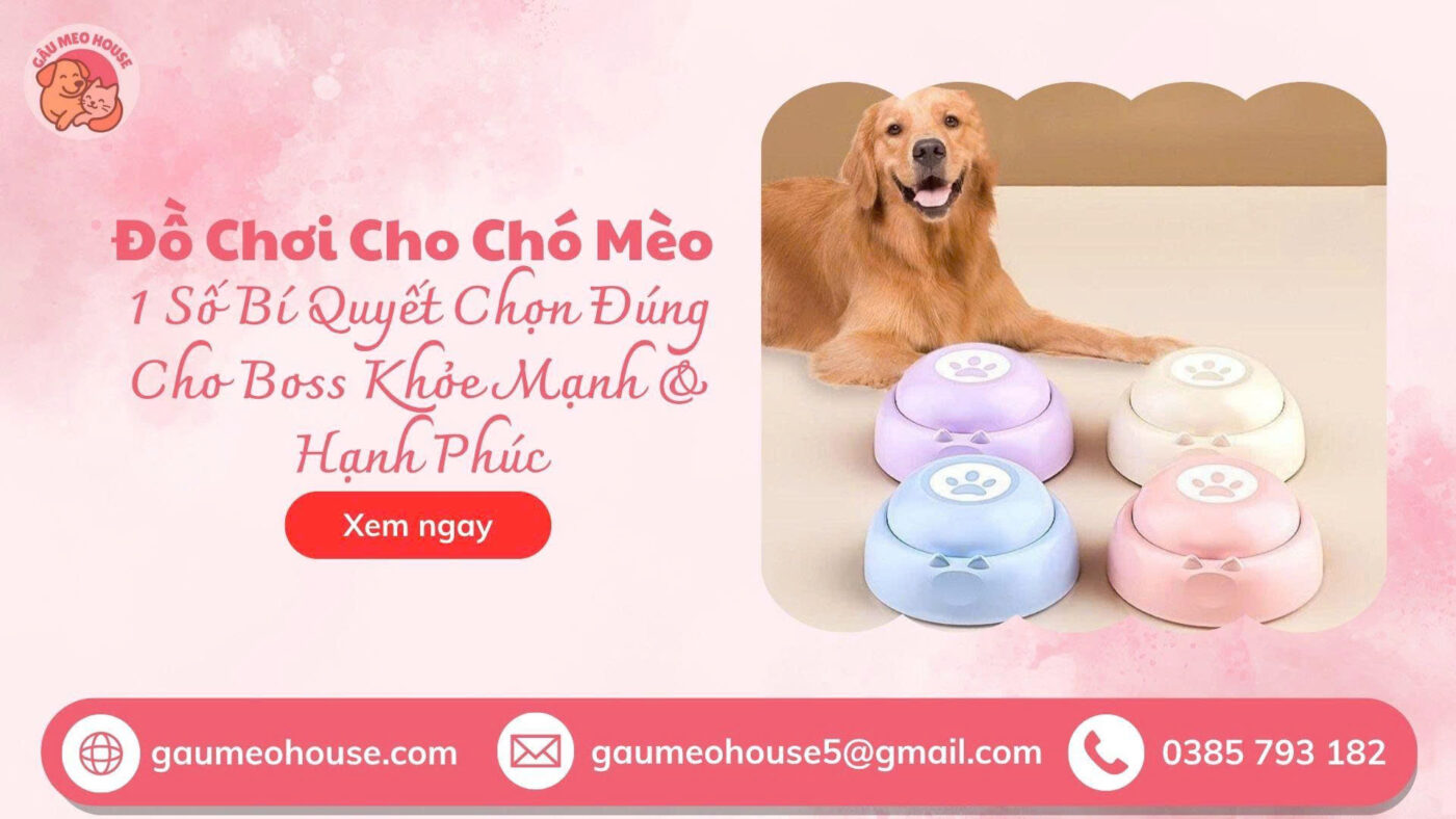 Chuong-bam-huan-luyen-cho-meo