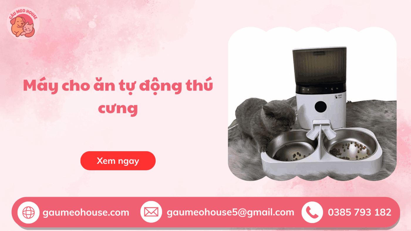 Máy Cho Ăn Tự Động Thú Cưng