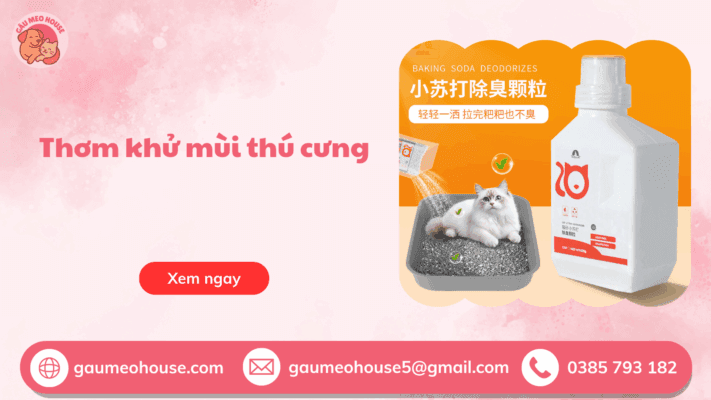 Thơm Khử Mùi Thú Cưng