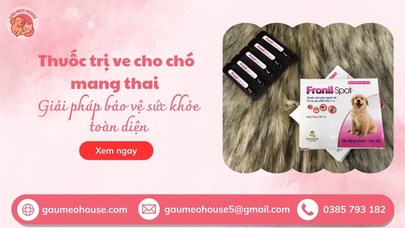 Bìa Thuốc trị ve chó có hại không