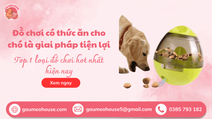 Do-choi-co-thuc-an-cho-thu-cung