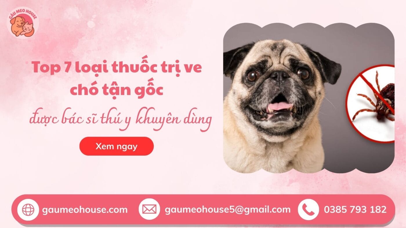 Bìa thuốc trị ve rận tận gốc