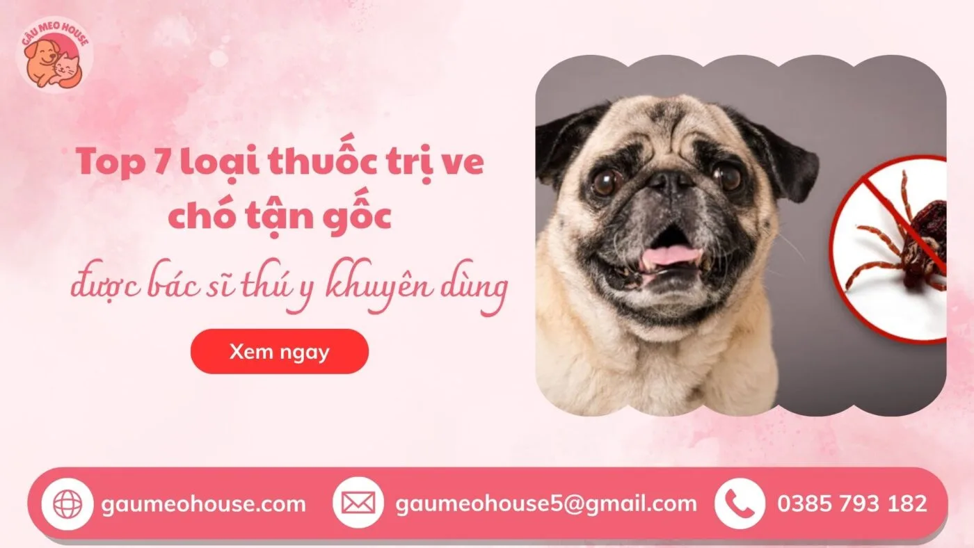 Bìa thuốc trị ve rận tận gốc