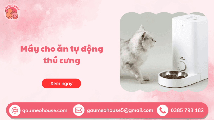 Máy Cho Ăn Tự Động Thú Cưng