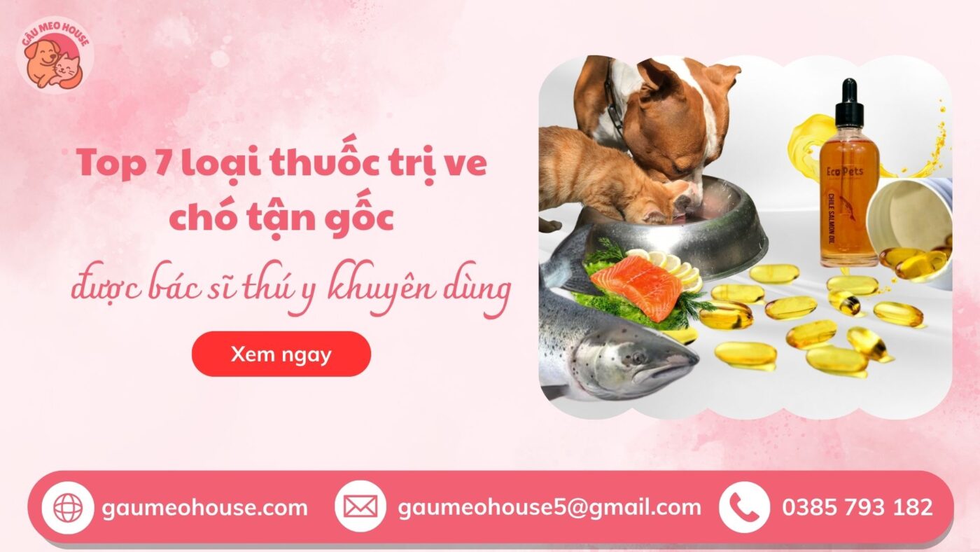 Cách dùng dầu cá cho chó