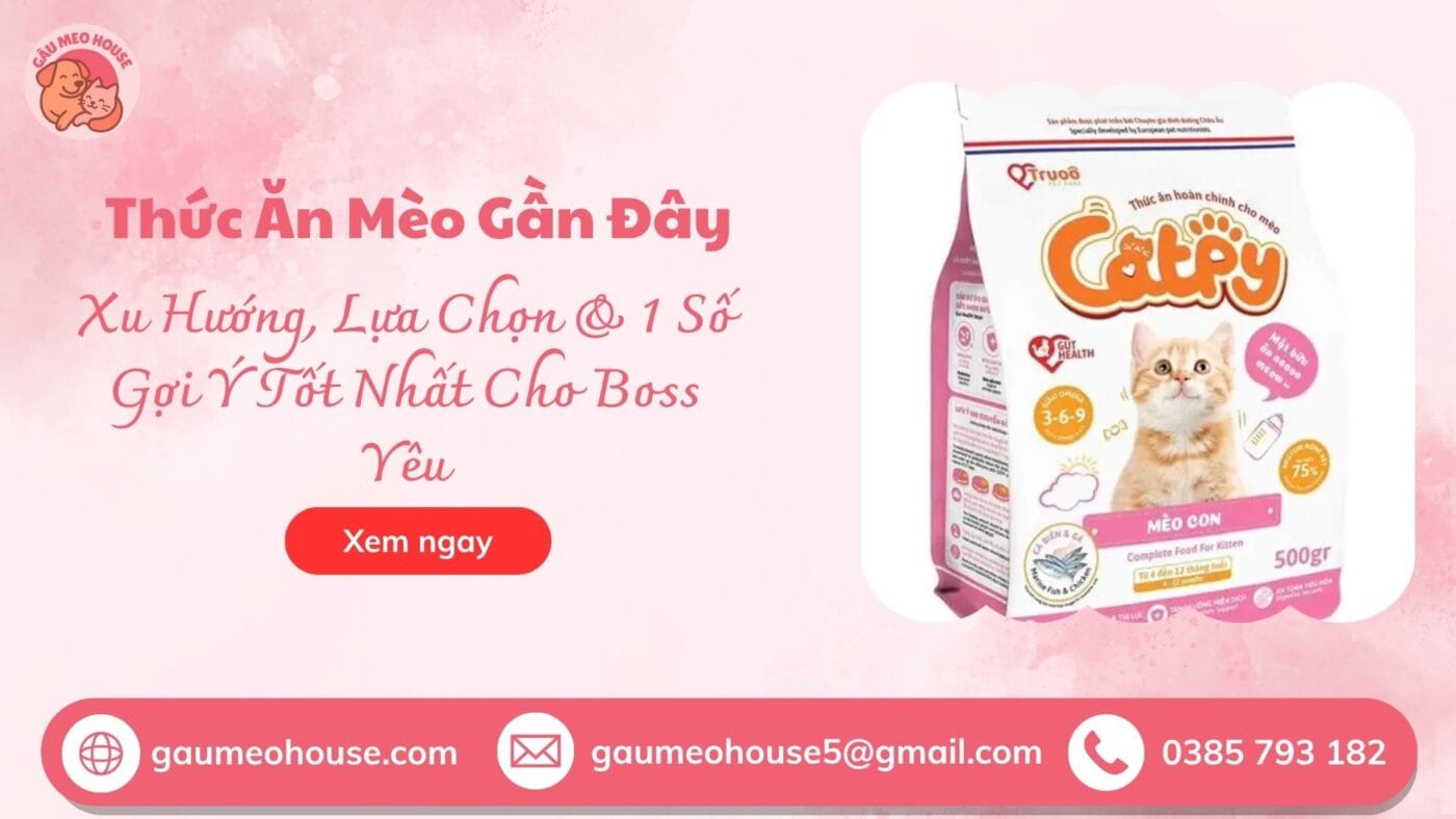 Thuc-an-meo-gan-day-h3