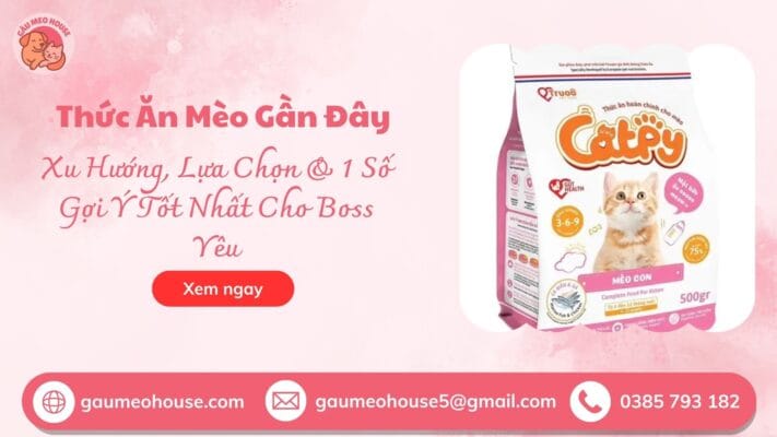 Thuc-an-meo-gan-day-h3