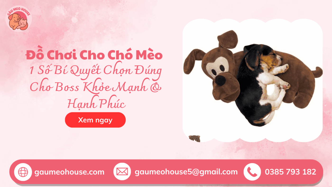 Goi-om-dai-hinh-thu-doggyman