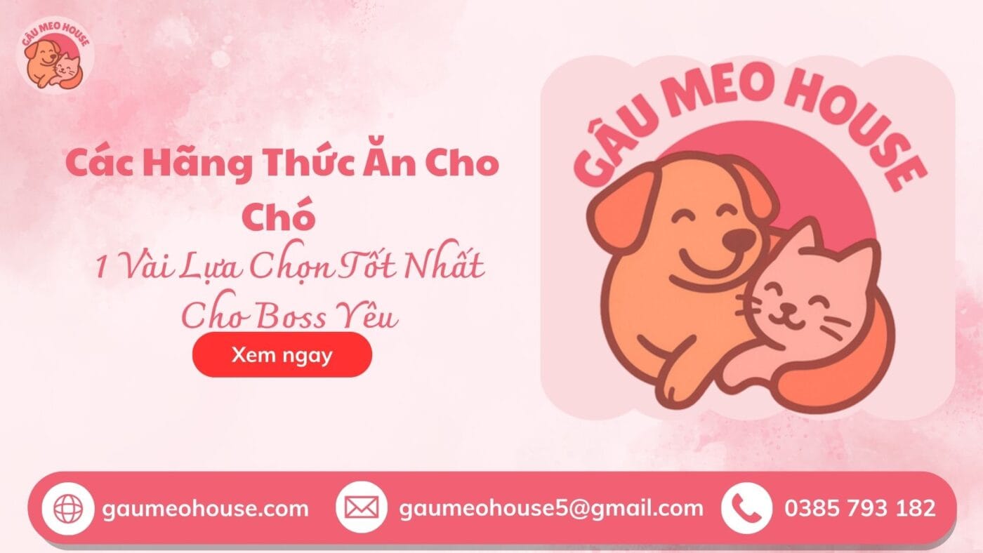 hãng thức ăn cho dog