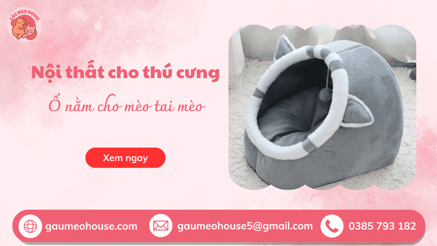 ổ nằm cho mèo