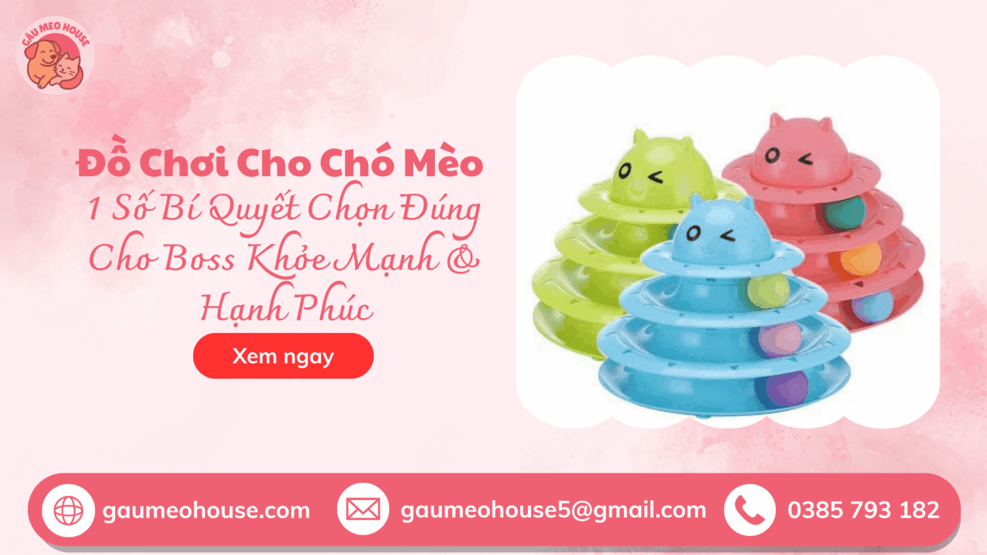 Do-choi-thap-bong-3-tang-cho-cho-meo