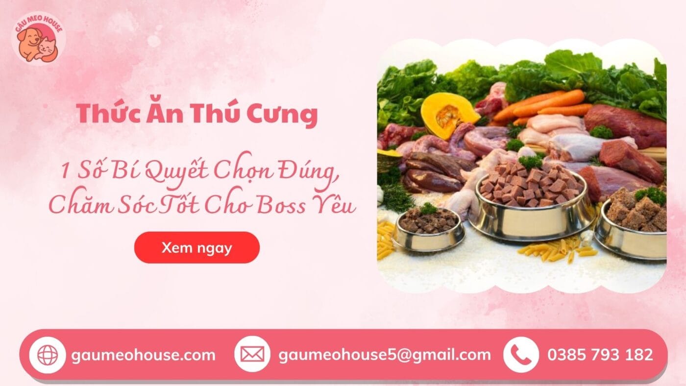 thuc-an-thu-cung-pet