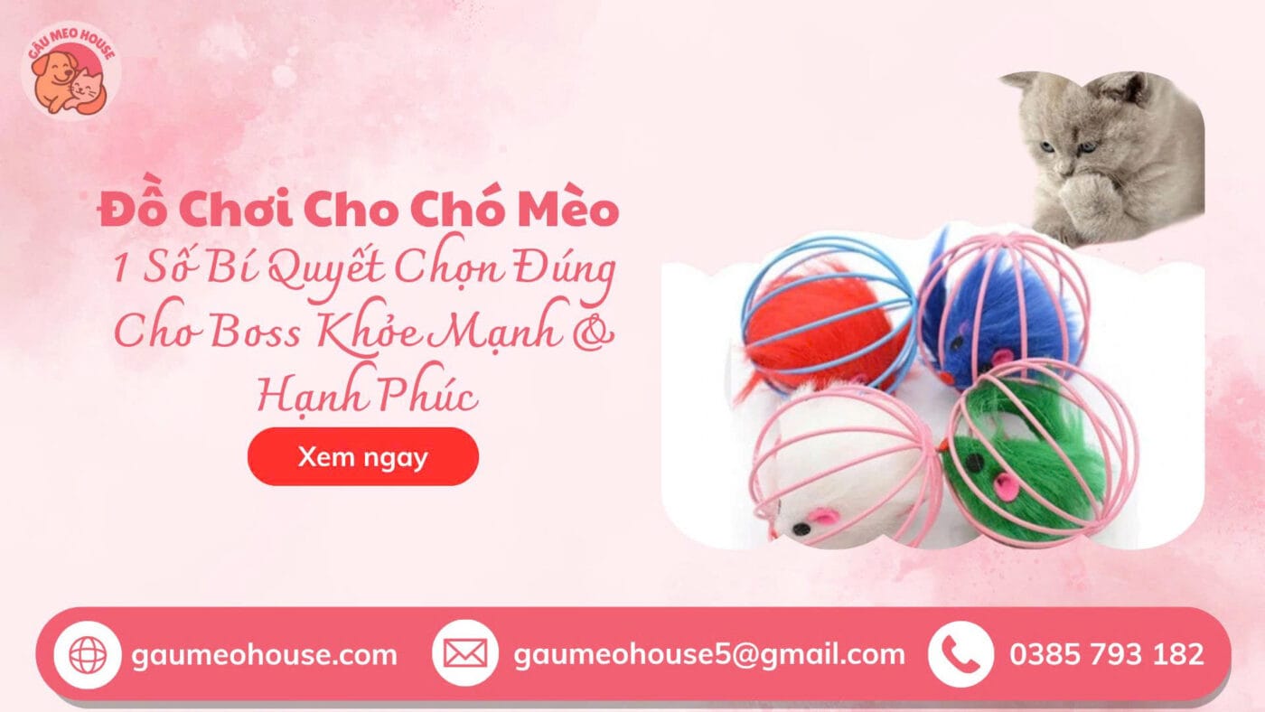 Do-choi-cho-meo-banh-long-chuot